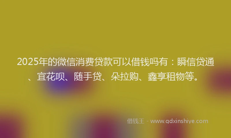 2025年的微信消费贷款可以借钱吗有：瞬信贷通、宜花呗、随手贷、朵拉购、鑫享租物等。