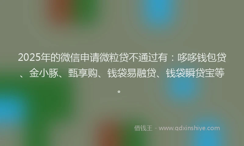 2025年的微信申请微粒贷不通过有：哆哆钱包贷、金小豚、甄享购、钱袋易融贷、钱袋瞬贷宝等。