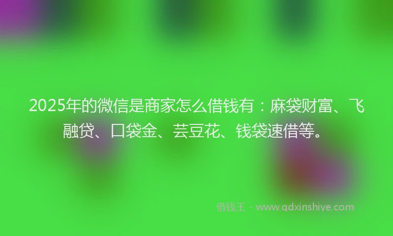 2025年的微信是商家怎么借钱有：麻袋财富、飞融贷、口袋金、芸豆花、钱袋速借等。