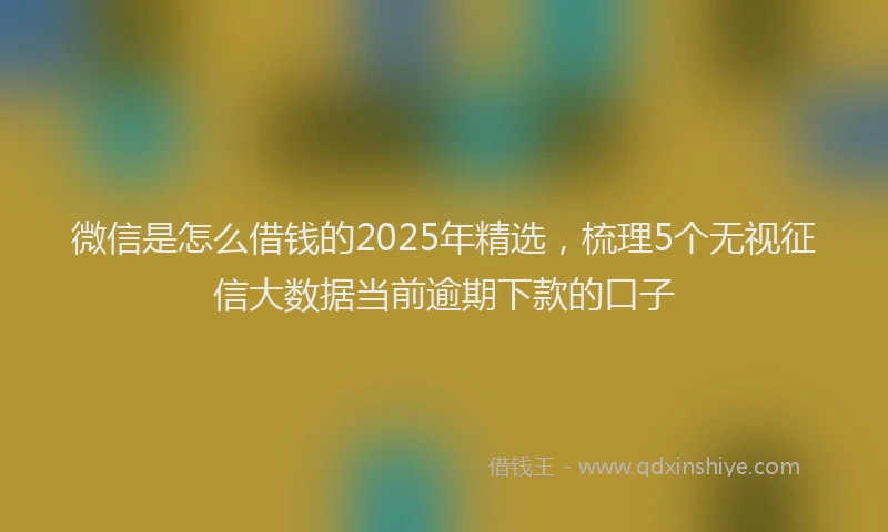 微信是怎么借钱的2025年精选，梳理5个无视征信大数据当前逾期下款的口子