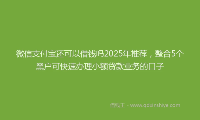 微信支付宝还可以借钱吗2025年推荐，整合5个黑户可快速办理小额贷款业务的口子