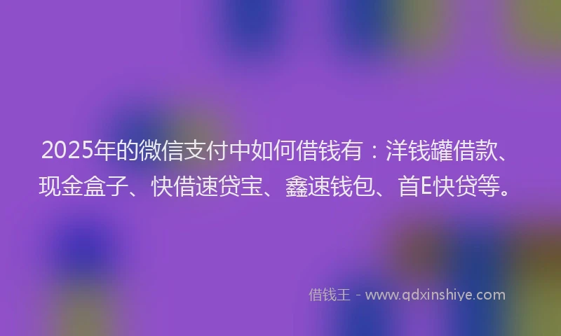 2025年的微信支付中如何借钱有：洋钱罐借款、现金盒子、快借速贷宝、鑫速钱包、首E快贷等。