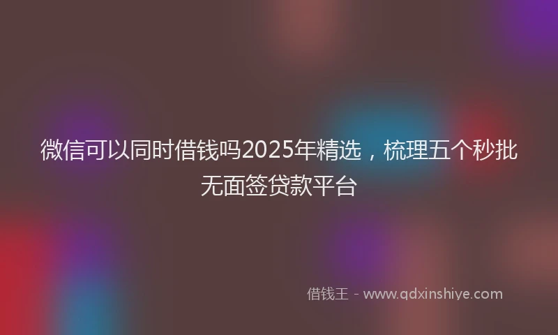 微信可以同时借钱吗2025年精选，梳理五个秒批无面签贷款平台