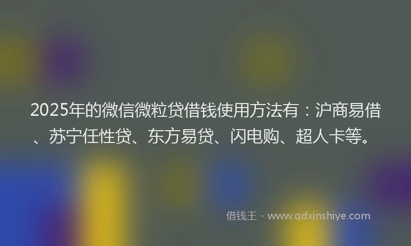 2025年的微信微粒贷借钱使用方法有：沪商易借、苏宁任性贷、东方易贷、闪电购、超人卡等。