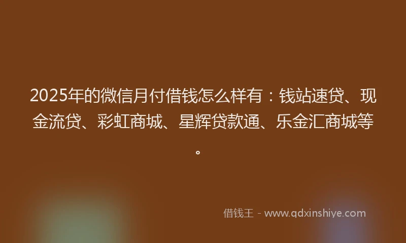 2025年的微信月付借钱怎么样有：钱站速贷、现金流贷、彩虹商城、星辉贷款通、乐金汇商城等。