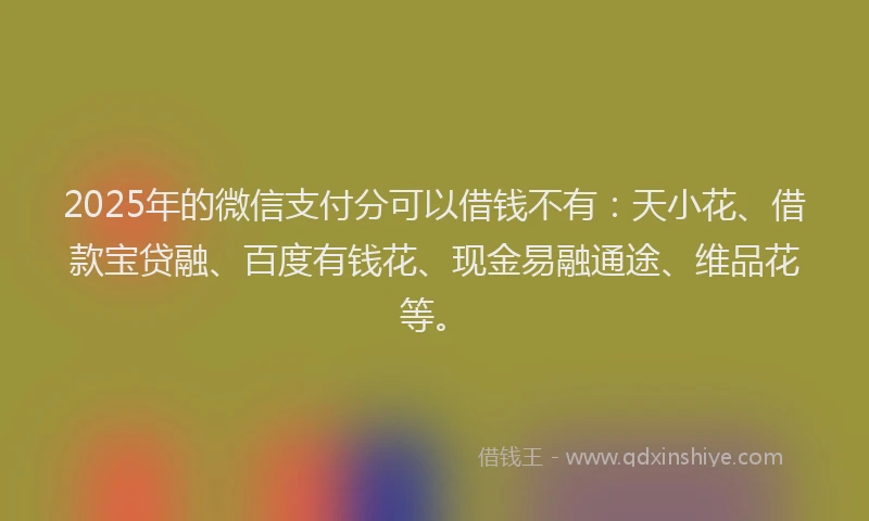2025年的微信支付分可以借钱不有：天小花、借款宝贷融、百度有钱花、现金易融通途、维品花等。