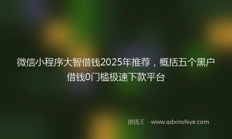 微信小程序大智借钱2025年推荐，概括五个黑户借钱0门槛极速下款平台