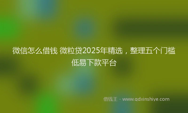 微信怎么借钱 微粒贷2025年精选，整理五个门槛低易下款平台