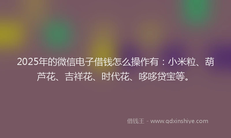 2025年的微信电子借钱怎么操作有：小米粒、葫芦花、吉祥花、时代花、哆哆贷宝等。