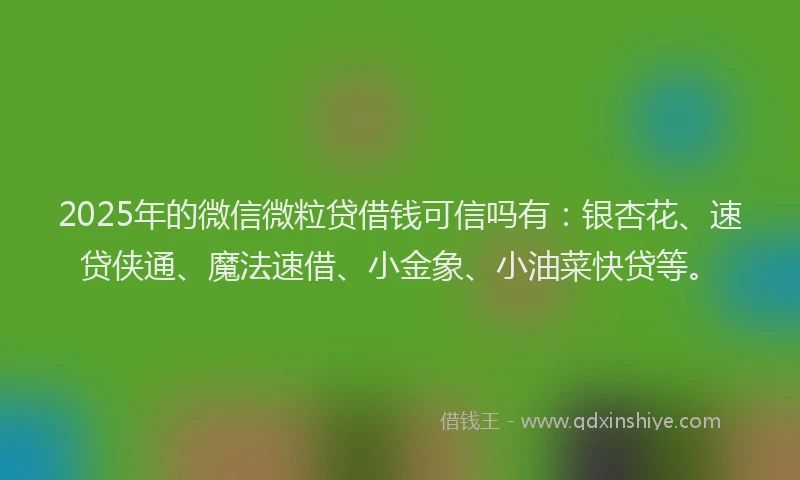 2025年的微信微粒贷借钱可信吗有：银杏花、速贷侠通、魔法速借、小金象、小油菜快贷等。