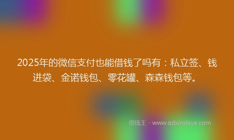 2025年的微信支付也能借钱了吗有：私立签、钱进袋、金诺钱包、零花罐、森森钱包等。