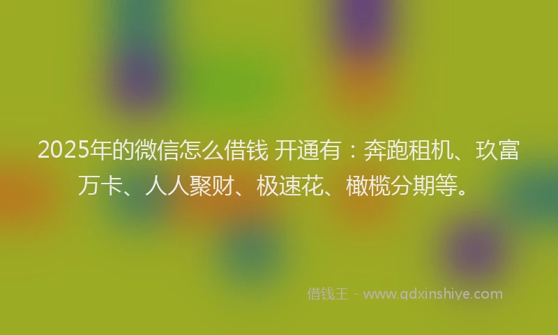 2025年的微信怎么借钱 开通有：奔跑租机、玖富万卡、人人聚财、极速花、橄榄分期等。
