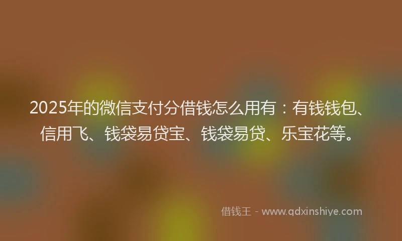 2025年的微信支付分借钱怎么用有：有钱钱包、信用飞、钱袋易贷宝、钱袋易贷、乐宝花等。