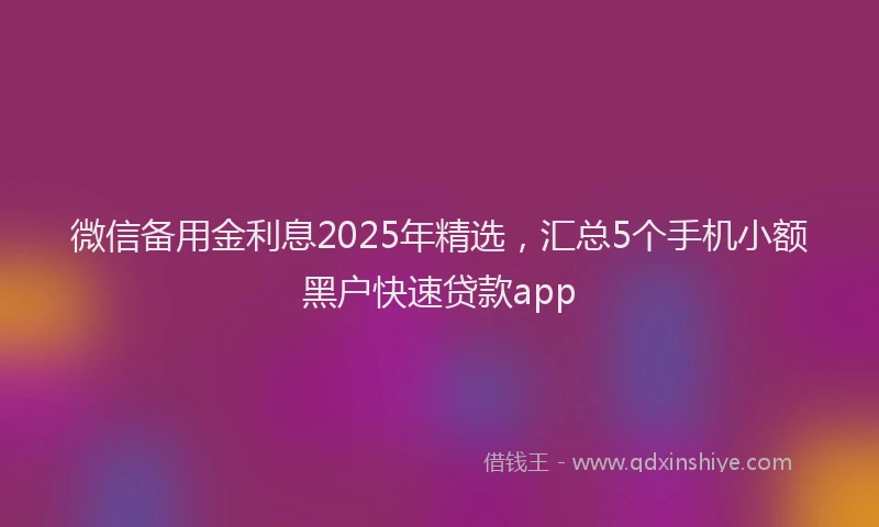 微信备用金利息2025年精选，汇总5个手机小额黑户快速贷款app