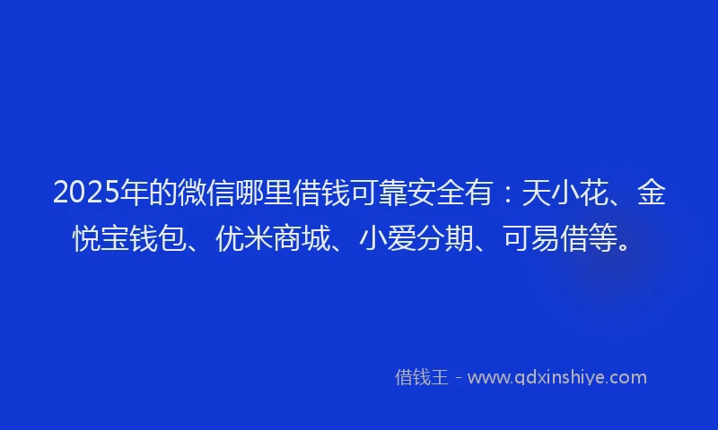2025年的微信哪里借钱可靠安全有：天小花、金悦宝钱包、优米商城、小爱分期、可易借等。