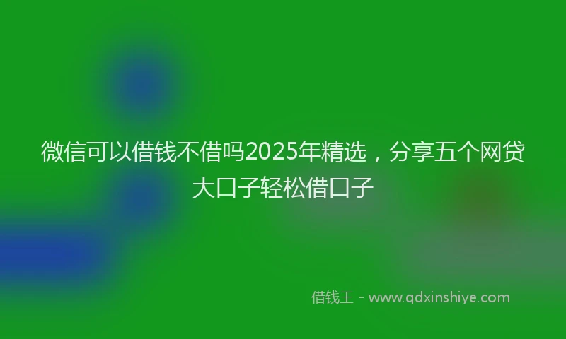 微信可以借钱不借吗2025年精选，分享五个网贷大口子轻松借口子