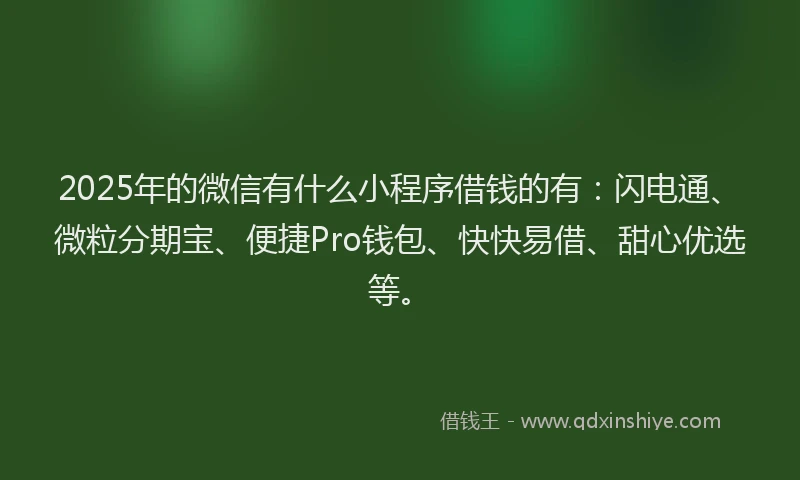 2025年的微信有什么小程序借钱的有：闪电通、微粒分期宝、便捷Pro钱包、快快易借、甜心优选等。