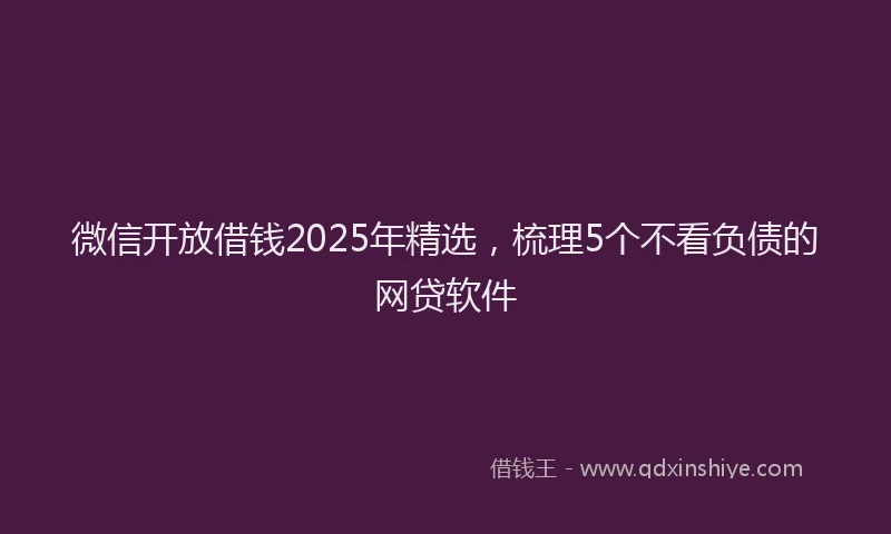 微信开放借钱2025年精选，梳理5个不看负债的网贷软件