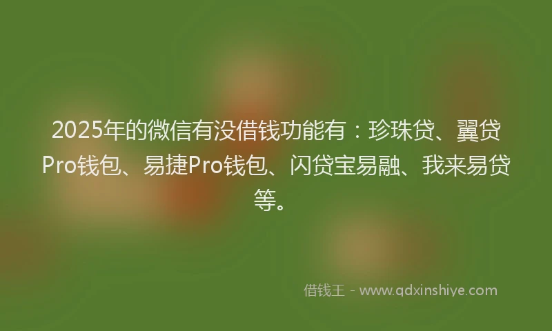 2025年的微信有没借钱功能有：珍珠贷、翼贷Pro钱包、易捷Pro钱包、闪贷宝易融、我来易贷等。