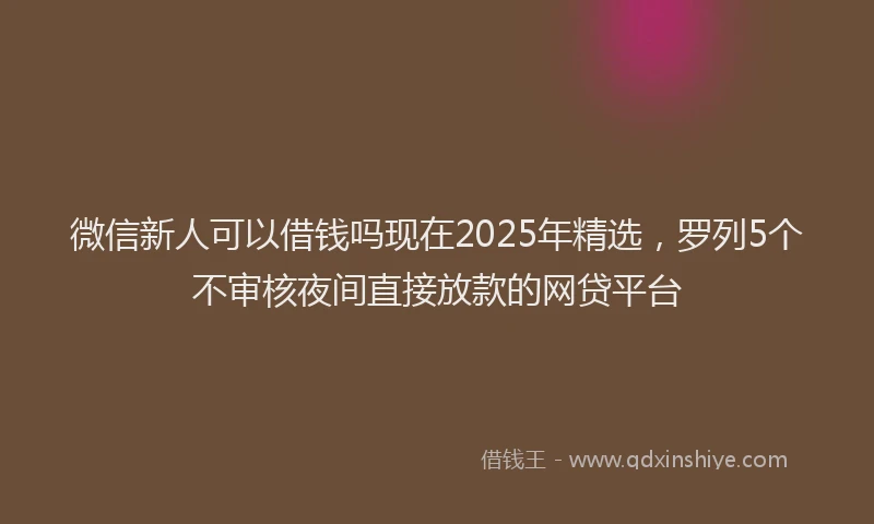 微信新人可以借钱吗现在2025年精选，罗列5个不审核夜间直接放款的网贷平台