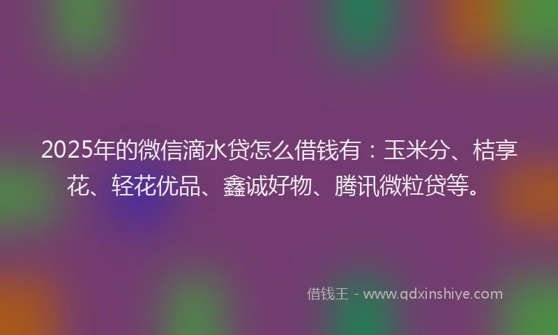 2025年的微信滴水贷怎么借钱有：玉米分、桔享花、轻花优品、鑫诚好物、腾讯微粒贷等。