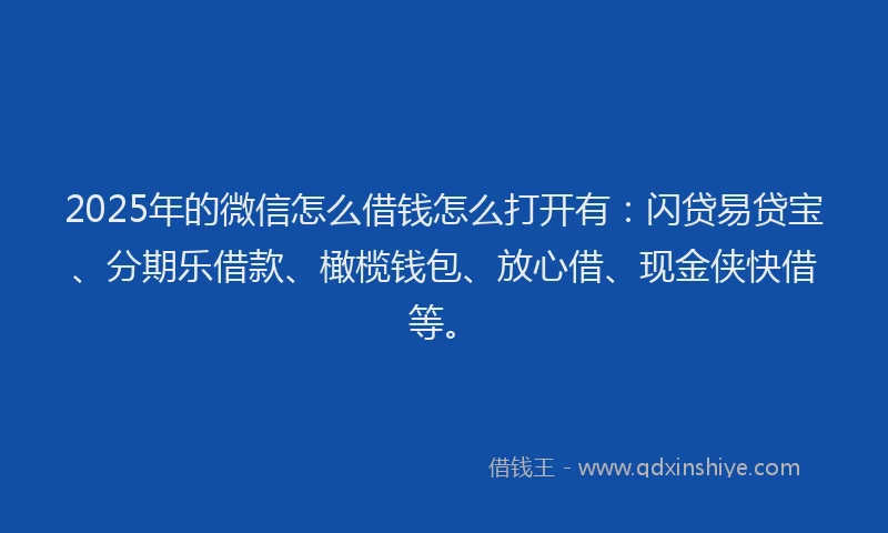 2025年的微信怎么借钱怎么打开有：闪贷易贷宝、分期乐借款、橄榄钱包、放心借、现金侠快借等。