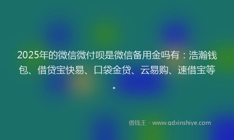 2025年的微信微付呗是微信备用金吗有：浩瀚钱包、借贷宝快易、口袋金贷、云易购、速借宝等。