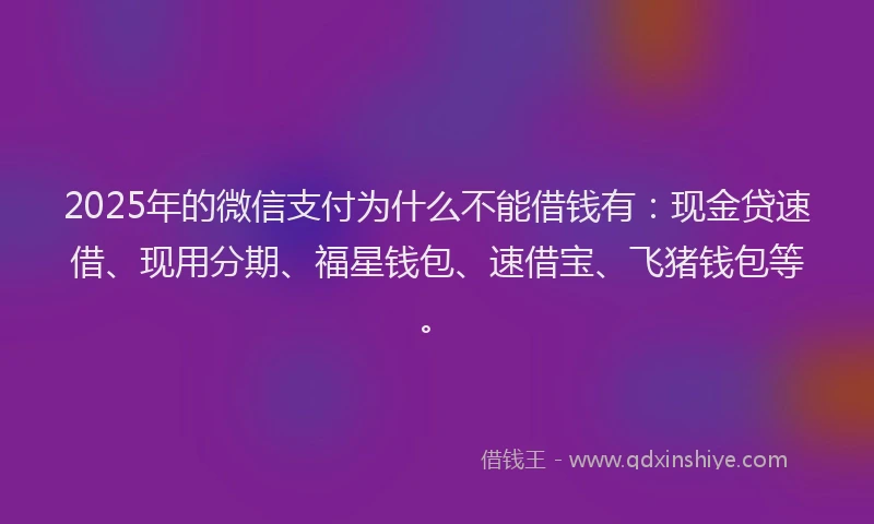 2025年的微信支付为什么不能借钱有：现金贷速借、现用分期、福星钱包、速借宝、飞猪钱包等。