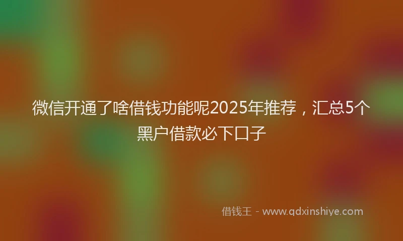 微信开通了啥借钱功能呢2025年推荐，汇总5个黑户借款必下口子
