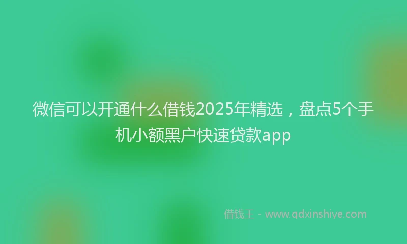 微信可以开通什么借钱2025年精选，盘点5个手机小额黑户快速贷款app