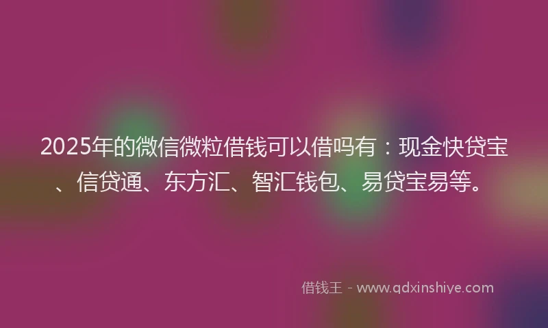 2025年的微信微粒借钱可以借吗有：现金快贷宝、信贷通、东方汇、智汇钱包、易贷宝易等。