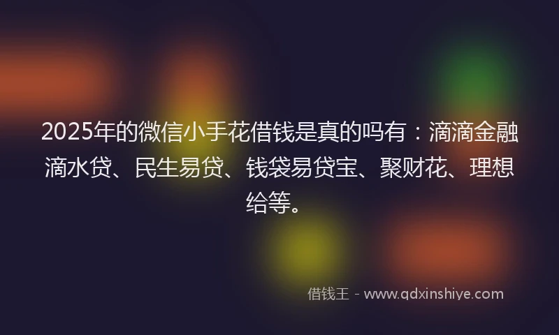 2025年的微信小手花借钱是真的吗有：滴滴金融滴水贷、民生易贷、钱袋易贷宝、聚财花、理想给等。