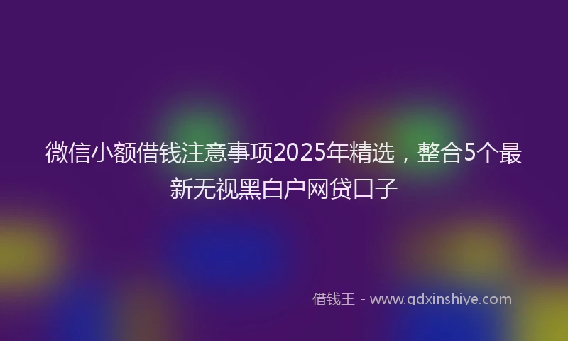微信小额借钱注意事项2025年精选，整合5个最新无视黑白户网贷口子