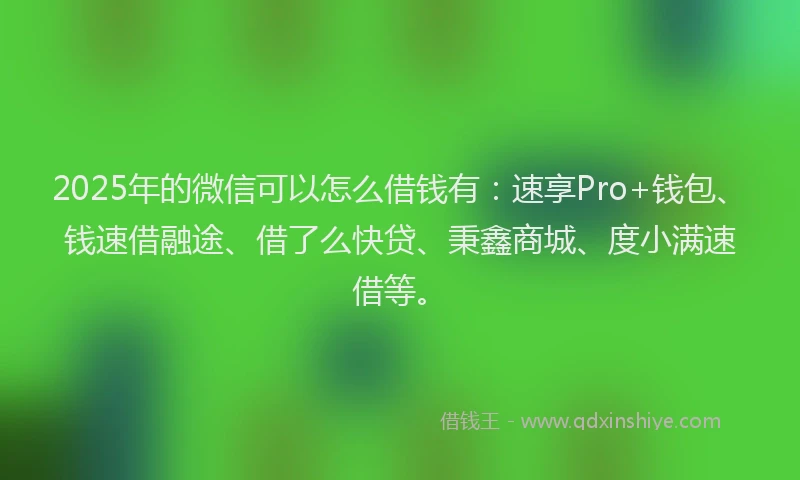 2025年的微信可以怎么借钱有：速享Pro+钱包、钱速借融途、借了么快贷、秉鑫商城、度小满速借等。