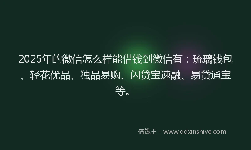 2025年的微信怎么样能借钱到微信有：琉璃钱包、轻花优品、独品易购、闪贷宝速融、易贷通宝等。
