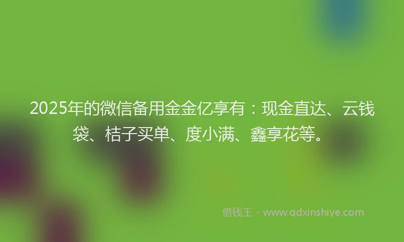 2025年的微信备用金金亿享有：现金直达、云钱袋、桔子买单、度小满、鑫享花等。