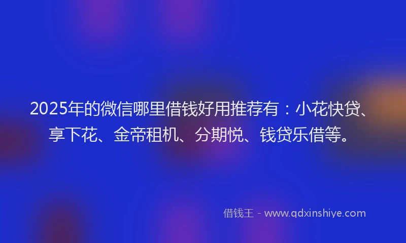 2025年的微信哪里借钱好用推荐有：小花快贷、享下花、金帝租机、分期悦、钱贷乐借等。