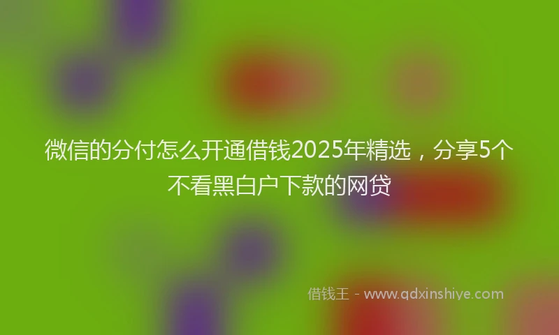 微信的分付怎么开通借钱2025年精选，分享5个不看黑白户下款的网贷