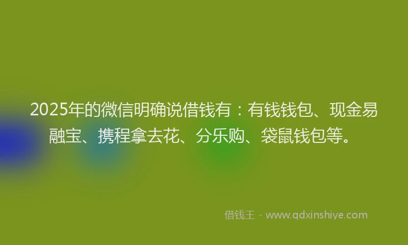 2025年的微信明确说借钱有：有钱钱包、现金易融宝、携程拿去花、分乐购、袋鼠钱包等。