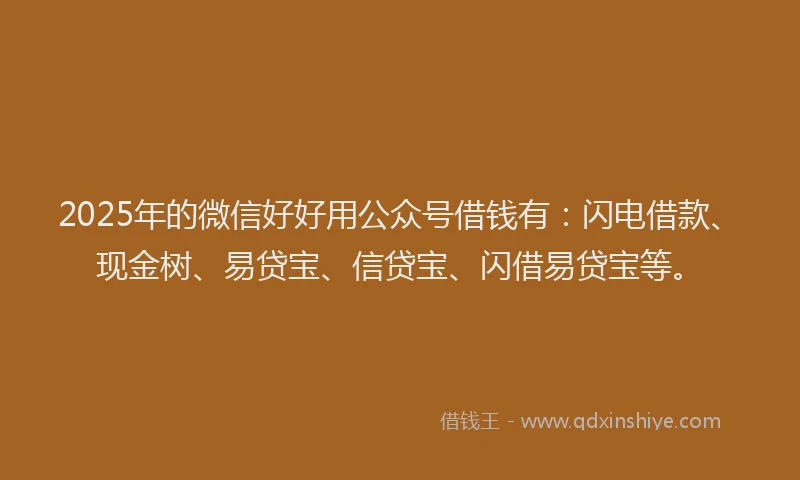 2025年的微信好好用公众号借钱有：闪电借款、现金树、易贷宝、信贷宝、闪借易贷宝等。