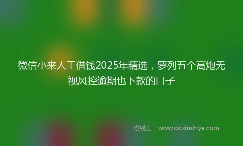 微信小来人工借钱2025年精选，罗列五个高炮无视风控逾期也下款的口子