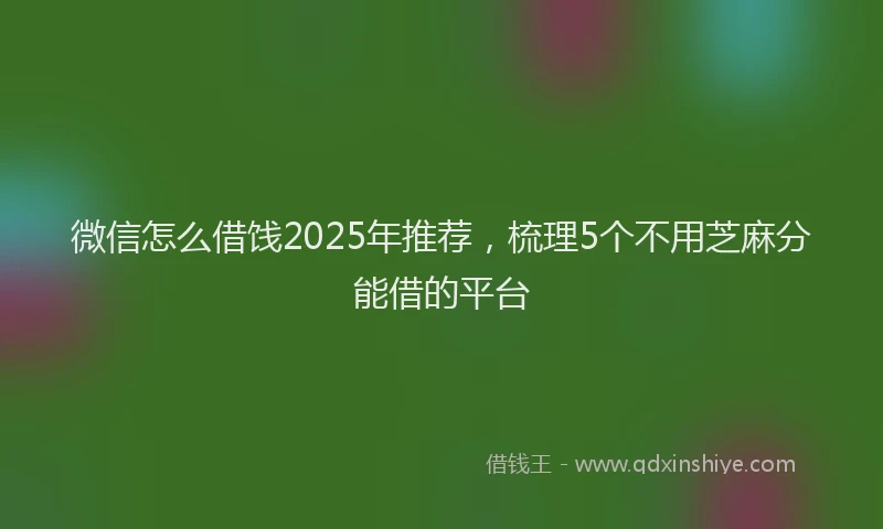 微信怎么借饯2025年推荐，梳理5个不用芝麻分能借的平台