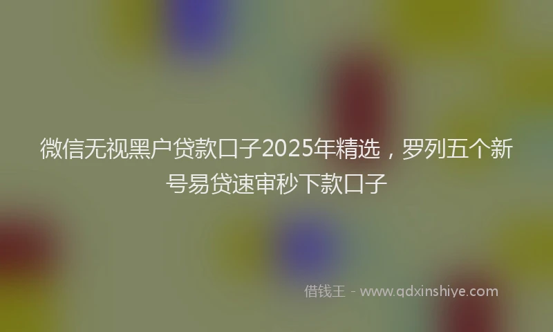 微信无视黑户贷款口子2025年精选，罗列五个新号易贷速审秒下款口子