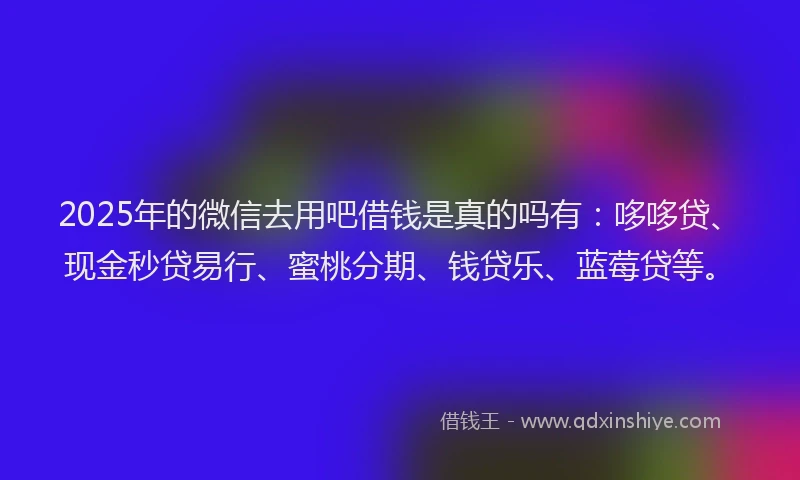 2025年的微信去用吧借钱是真的吗有：哆哆贷、现金秒贷易行、蜜桃分期、钱贷乐、蓝莓贷等。