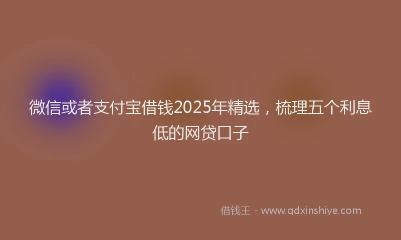 微信或者支付宝借钱2025年精选，梳理五个利息低的网贷口子