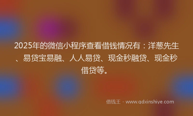 2025年的微信小程序查看借钱情况有：洋葱先生、易贷宝易融、人人易贷、现金秒融贷、现金秒借贷等。