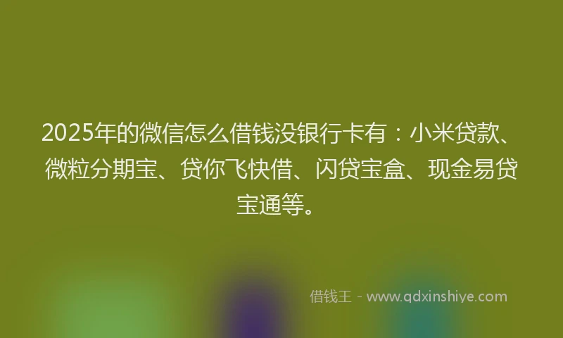 2025年的微信怎么借钱没银行卡有：小米贷款、微粒分期宝、贷你飞快借、闪贷宝盒、现金易贷宝通等。