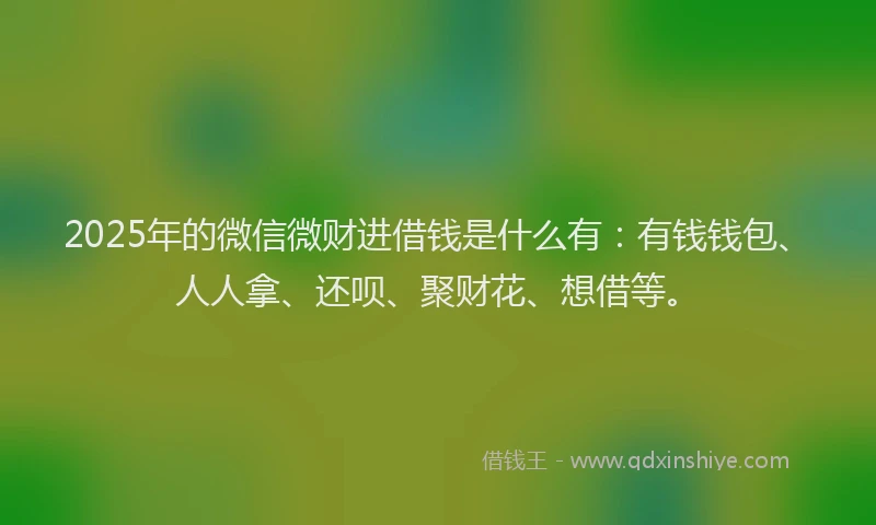 2025年的微信微财进借钱是什么有：有钱钱包、人人拿、还呗、聚财花、想借等。