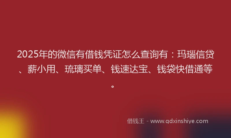 2025年的微信有借钱凭证怎么查询有：玛瑙信贷、薪小用、琉璃买单、钱速达宝、钱袋快借通等。
