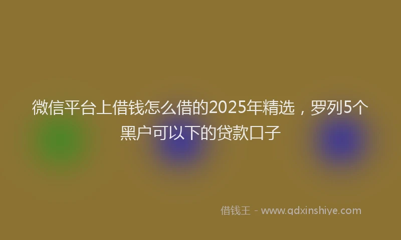 微信平台上借钱怎么借的2025年精选，罗列5个黑户可以下的贷款口子